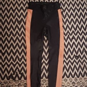 Koral Serendipity Infinity High Rise Flamingo